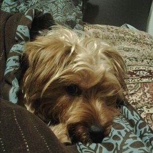 Meet your Posher, Marina